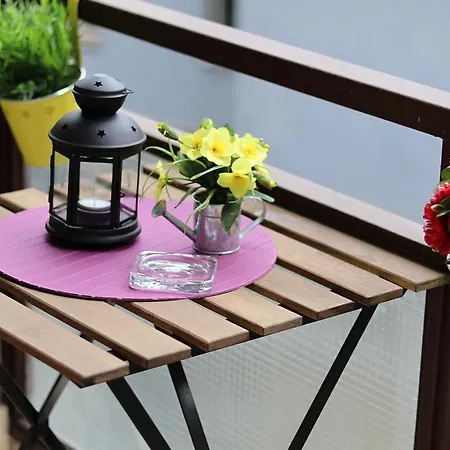 Apartment Dlouha City Center
